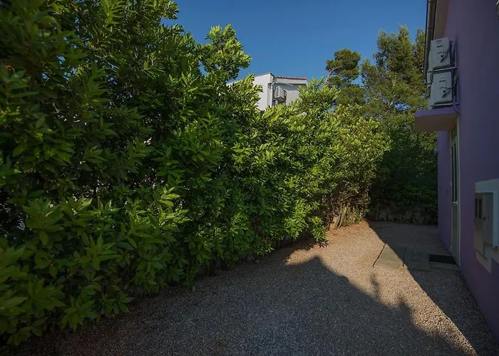 17772b ستاريغغاد باكلينتسا